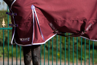 Gallop Trojan Xtra Lightweight Standard Neck Turnout Rug