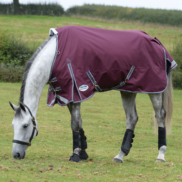 Buy the WeatherBeeta ComFiTec Plus Dynamic II 220g Mediumweight Standard Neck Turnout | Online for Equine