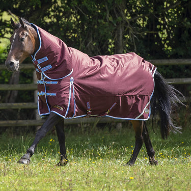 Gallop Trojan Xtra 350g Turnout Rug Combo