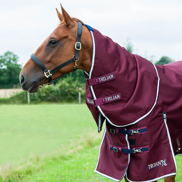 Gallop Trojan Xtra 50g Neck Cover