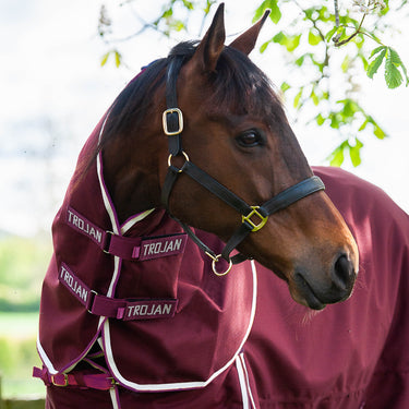 Gallop Trojan Xtra Lightweight Neck Cover