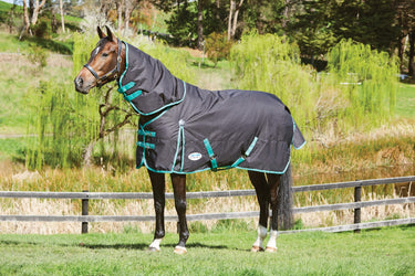 WeatherBeeta Green-Tec 360G Detach-A-Neck Turnout Rug-Black/Bottle Green-5'3" (63")