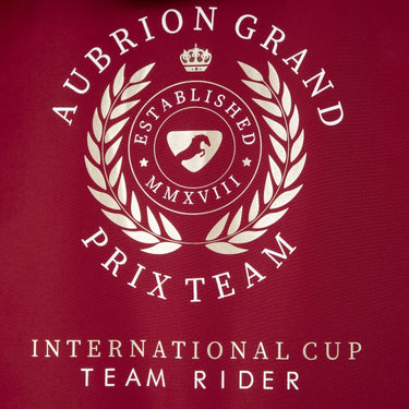 Buy the Shires Aubrion Team Red All Weather Robe | Online for Equine