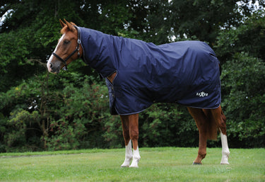 Buy Saxon Defiant Navy 200g Combo Neck Mediumweight Turnout Rug| Online for Equine