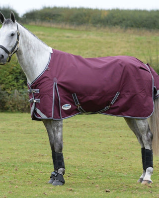 Buy the WeatherBeeta ComFiTec Plus Dynamic II 100g Lightweight Standard Neck Turnout | Online for Equine