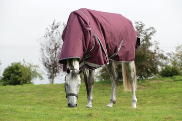 Buy WeatherBeeta ComFiTec Plus Dynamic II 0g Lightweight Detachable Neck Turnout Rug| Online for Equine