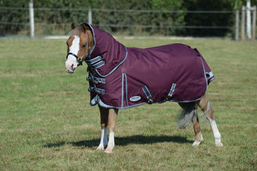 Buy WeatherBeeta ComFiTec Plus Dynamic II 100g Lightweight Detachable Neck Turnout Rug| Online for Equine