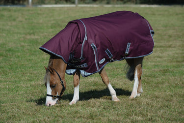 Buy WeatherBeeta ComFiTec Plus Dynamic II 100g Lightweight Detachable Neck Turnout Rug| Online for Equine