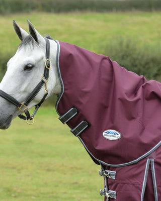 Buy the Weatherbeeta ComFiTec Plus Dynamic II Medium Weight Neck Cover | Online for Equine