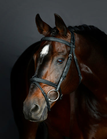 Buy Collegiate ComFiTec Opulux Fancy Stitch Padded Hanoverian Bridle | Online for Equine