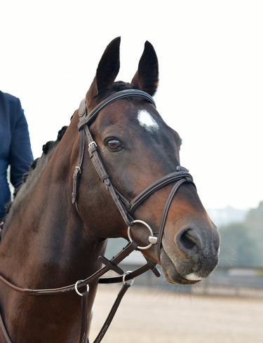 Buy Collegiate ComFiTec Opulux Fancy Stitch Padded Hanoverian Bridle | Online for Equine