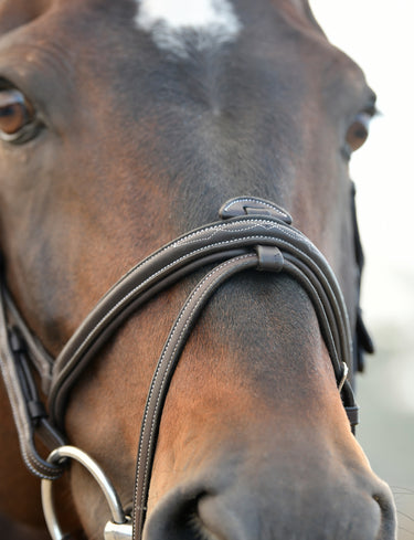 Buy Collegiate ComFiTec Opulux Fancy Stitch Padded Hanoverian Bridle | Online for Equine