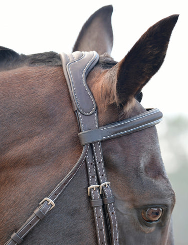 Buy Collegiate ComFiTec Opulux Fancy Stitch Padded Hanoverian Bridle | Online for Equine