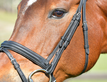 Buy Collegiate ComFiTec Opulux Plain Padded Hanoverian Flash Bridle | Online for Equine