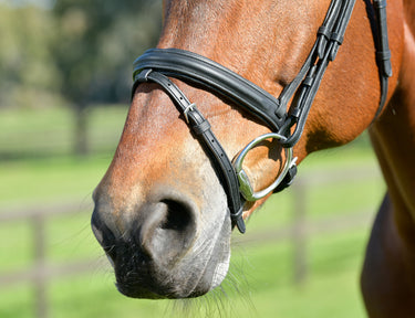 Buy Collegiate ComFiTec Opulux Plain Padded Hanoverian Flash Bridle | Online for Equine