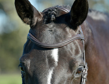 Buy Collegiate ComFiTec Opulux Plain Padded Hanoverian Flash Bridle | Online for Equine