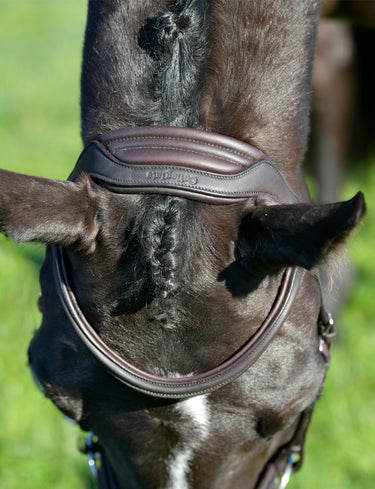 Buy Collegiate ComFiTec Opulux Plain Padded Hanoverian Flash Bridle | Online for Equine