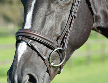 Buy Collegiate ComFiTec Opulux Plain Padded Hanoverian Flash Bridle | Online for Equine