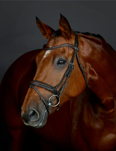 Buy Collegiate ComFiTec Opulux Plain Padded Hanoverian Flash Bridle | Online for Equine