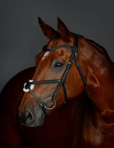 Buy Collegiate ComFiTec Opulux Plain Padded Grackle Bridle | Online for Equine