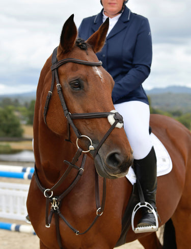 Buy Collegiate ComFiTec Opulux Plain Padded Grackle Bridle | Online for Equine