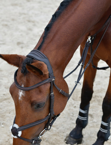 Buy Collegiate ComFiTec Opulux Plain Padded Grackle Bridle | Online for Equine