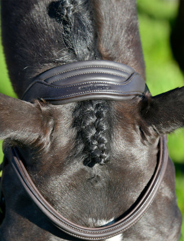 Buy Collegiate ComFiTec Opulux Plain Padded Grackle Bridle | Online for Equine