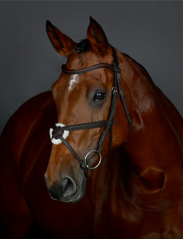 Buy Collegiate ComFiTec Opulux Plain Padded Grackle Bridle | Online for Equine