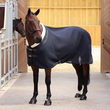 Buy Shires Deluxe Air Motion Cooler| Online for Equine