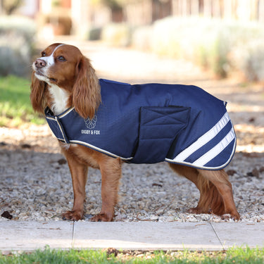 Digby & Fox Navy Lite Waterproof Dog Coat