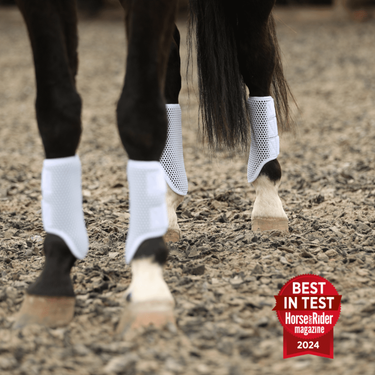 Buy the Equilibrium Breathable Tri-Zone White Brushing Boots | Online for Equine