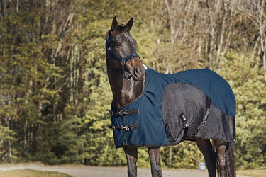 Buy Catago Hybrid Cooler Rug | Online for Equine