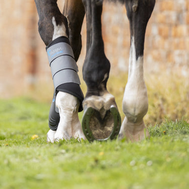 Buy the Shires ARMA Grey Neoprene Brushing Boots | Online For Equine