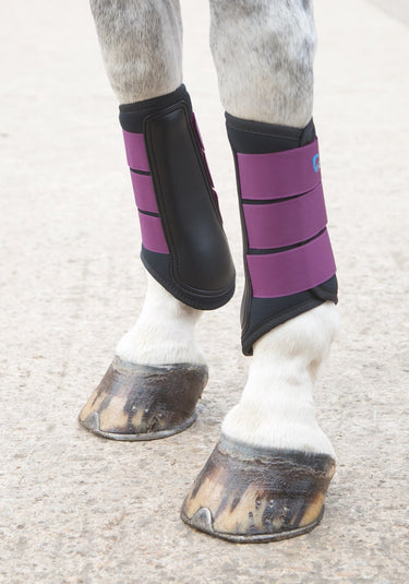 Buy the Shires ARMA Plum Neoprene Brushing Boots | Online For Equine