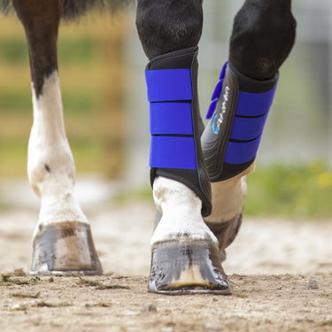 Buy Shires ARMA Royal Blue Neoprene Brushing Boots| Online for Equine