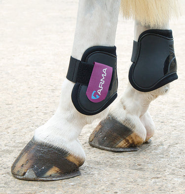 Buy the Shires ARMA Black/Plum Fetlock Boots | Online for Equine