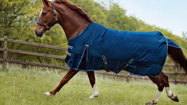 Buy Catago Jason 2.0 200g standard Neck Turnout Rug | Online for Equine