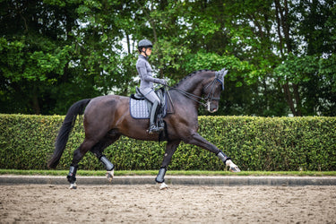 Buy Le Mieux Twilight Dressage Pad | Online for Equine