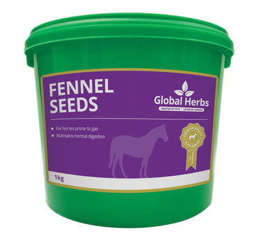 Global Herbs Fennel Seeds