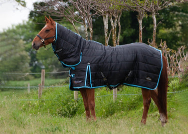 Gallop Trojan Maverick 300g Stable Rug Combo