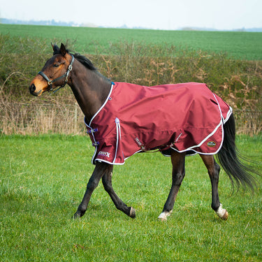 Gallop Trojan Xtra Lightweight Standard Neck Turnout Rug