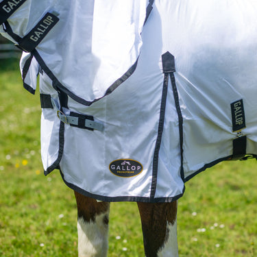 Gallop Essentials Classic Fly Combo Rug