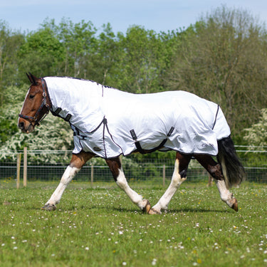 Gallop Essentials Classic Fly Combo Rug