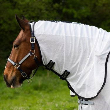 Gallop  Dual 5-Point Fly Rug & Neck Set