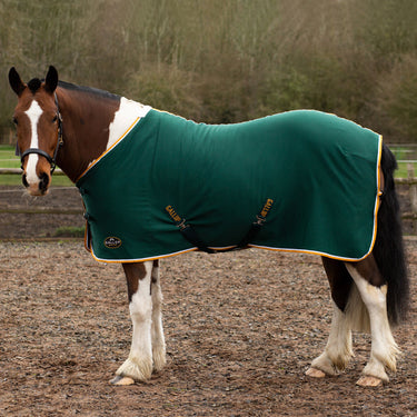 Buy Gallop Green Jersey Cooler Rug| Online for Equine