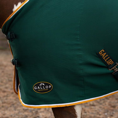 Buy Gallop Green Jersey Cooler Rug| Online for Equine