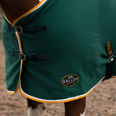 Buy Gallop Green Jersey Cooler Rug| Online for Equine