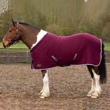 Buy Gallop Burgundy Jersey Cooler Rug| Online for Equine