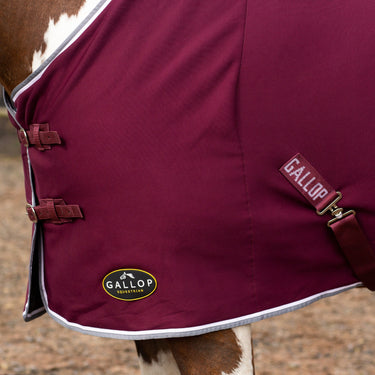 Buy Gallop Burgundy Jersey Cooler Rug| Online for Equine