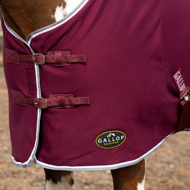 Buy Gallop Burgundy Jersey Cooler Rug| Online for Equine